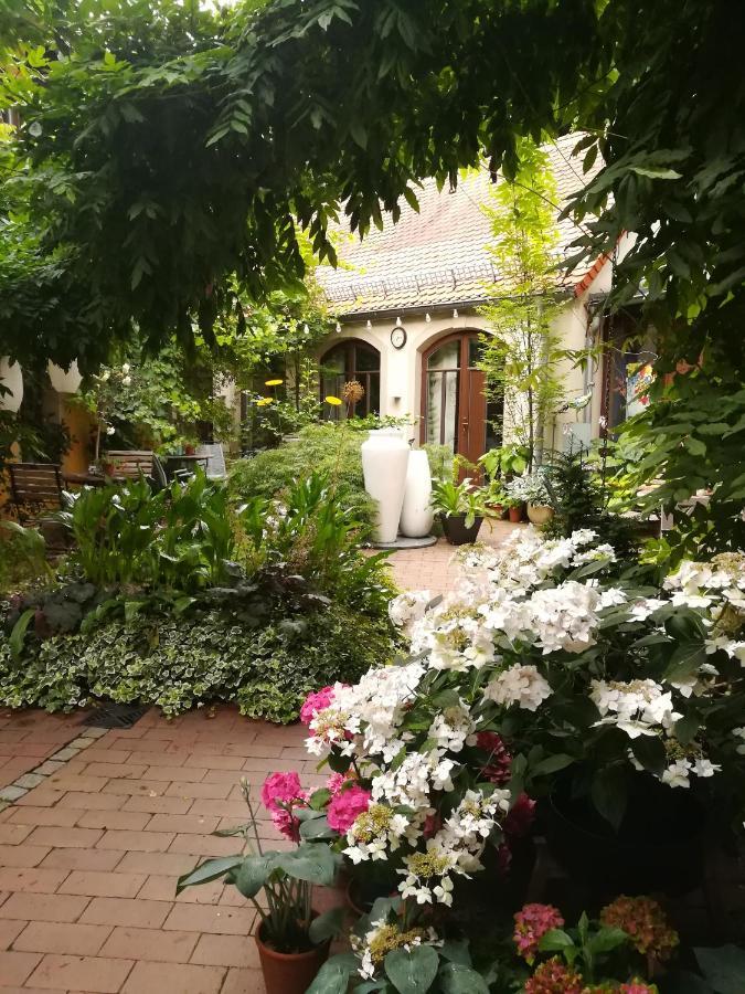 Faehrhaus Meissen B&B Εξωτερικό φωτογραφία