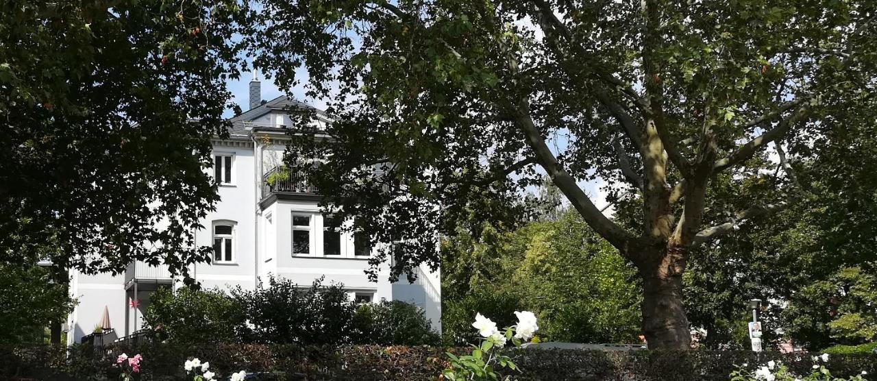 Faehrhaus Meissen B&B Εξωτερικό φωτογραφία