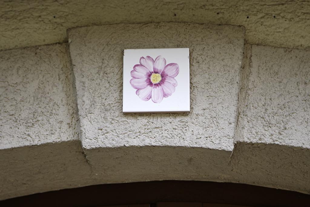 Faehrhaus Meissen B&B Δωμάτιο φωτογραφία